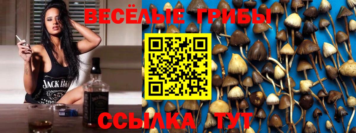 где купить наркотик  Псилоцибиновые грибы мицелий  Вход с VPN  Гагарин 